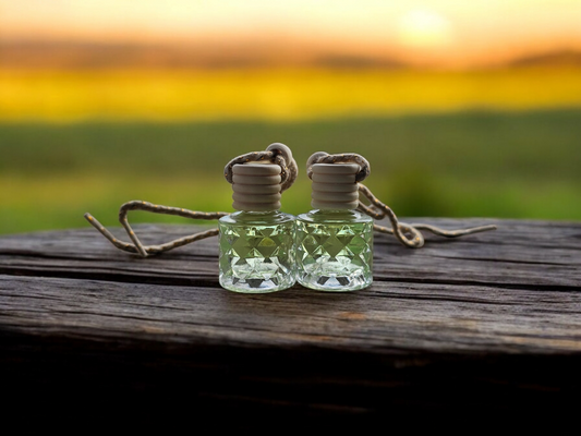 Hanging Faceted Car/Home Diffusers- 8ml